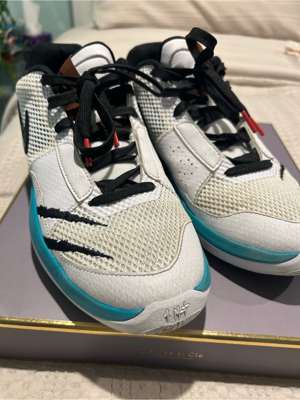Nike Men’s White and Teal Low-Top Athletic Sneakers